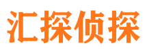 芦淞市私家侦探